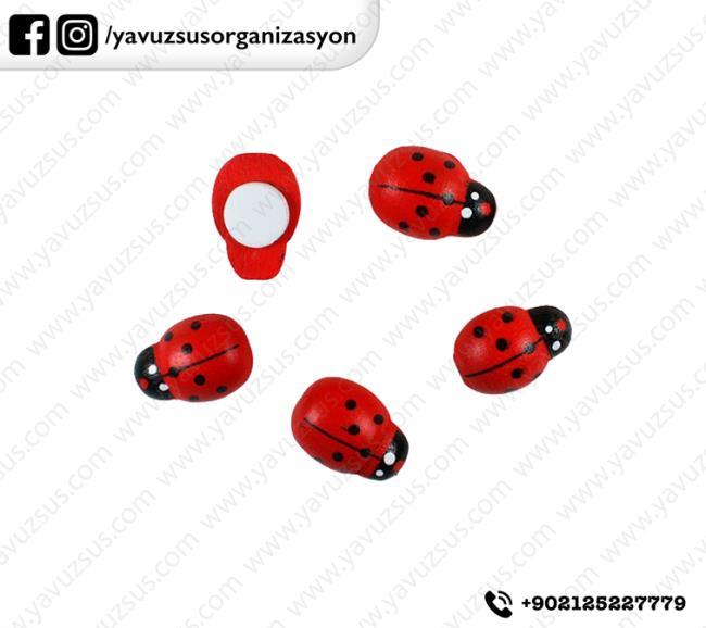 STİC. AHŞAP ORTA BOY UĞUR BÖCEĞİ(100 ad)