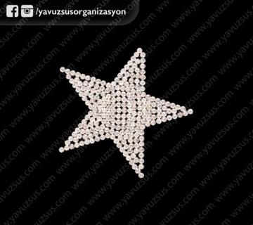 Büyük yıldız taşlı sticker 10ad