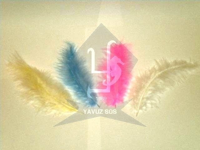 TEK TÜY(100 adet) BEYAZ