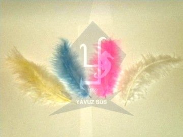 TEK TÜY(100 adet) KIRMIZI