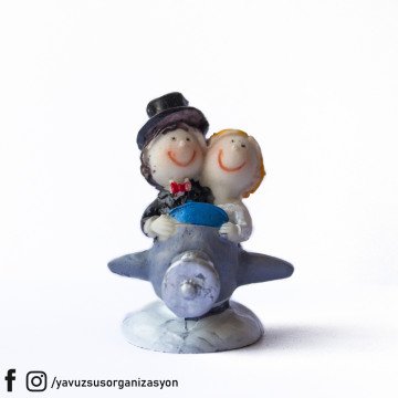 RENKLİ YENİ UÇAKTA GELİN DAMAT