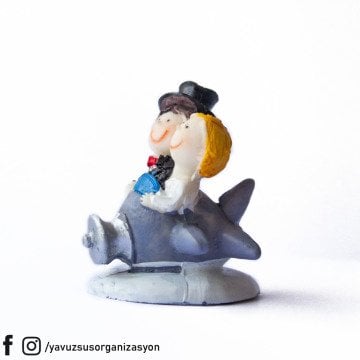 RENKLİ YENİ UÇAKTA GELİN DAMAT