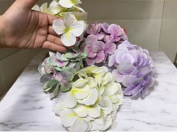 Ortanca çiçek (30 adet)