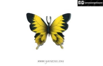8 li Kanatlı Renkli Kelebek(8cm)