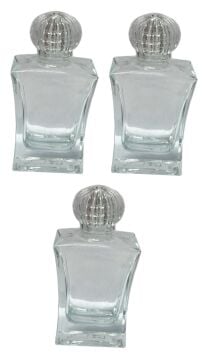 Dikdörtgen Cam Şişe tane ile