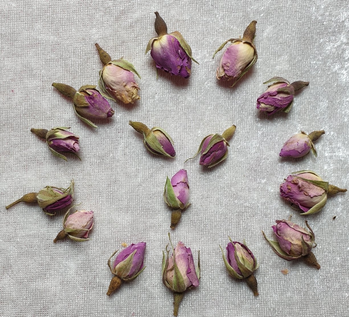 1Kg Kuru gül tomurcuğu