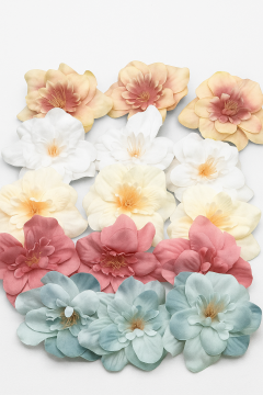 25 li pakette Şebboy Çiçeği