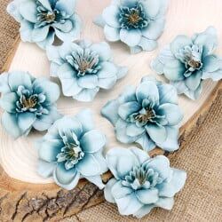 100 lü pakette Şebboy Çiçeği