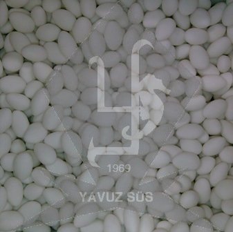 ÇEKİRDEK BADEM BEYAZ 1KG