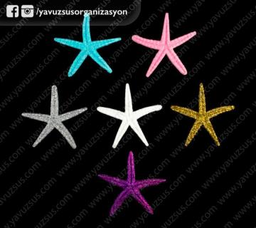 küçük simli deniz yıldızı(100 ad) BEYAZ