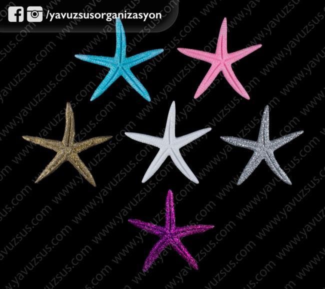 Büyük simli deniz yıldızı(100 ad) ALTIN