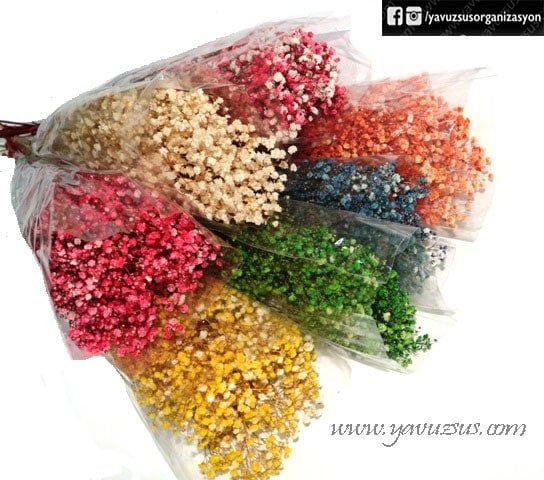 Şoklanmış Cipso(50 gr)