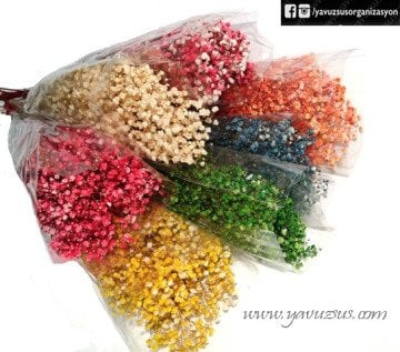 Şoklanmış Cipso(50 gr)