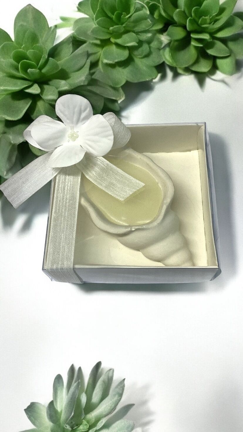 Kutu İçerisinde Mumlu Taş istiridye Hediyelik(20 a