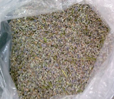 Lavanta 1 KG
