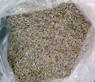 Lavanta 1 KG