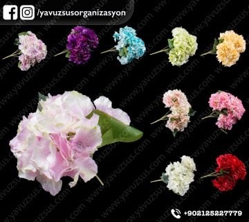 Büyük demet ortanca