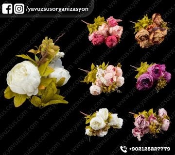 Büyük erengül çiçek
