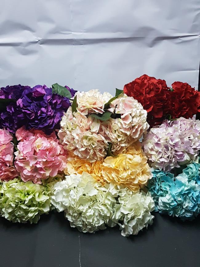 Büyük demet ortanca YESIL