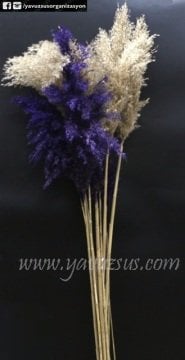 Demet şeklinde uzun tüy(PAMPAS)