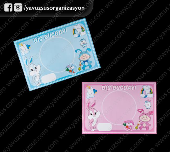 diş amerikan servis PEMBE