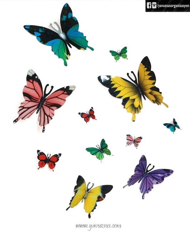 3 lü Kanatlı Renkli Kelebek(15cm)