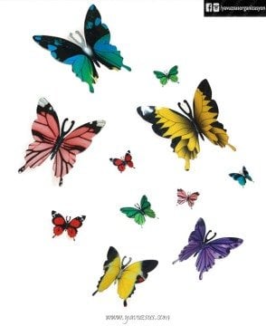 3 lü Kanatlı Renkli Kelebek(15cm)